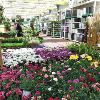 La météo grippe le marché de la jardinerie