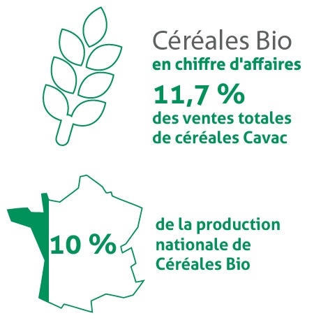 Céréales Bio 2014 En Bref
