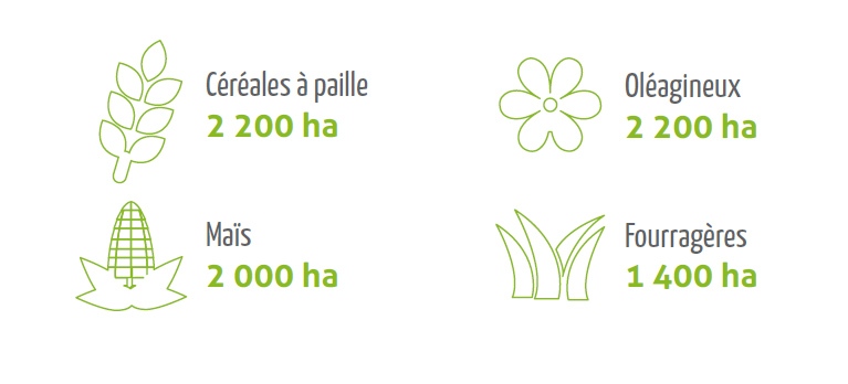Semences 2014 En bref