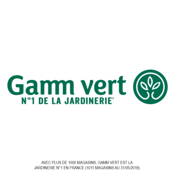 Gamm vert