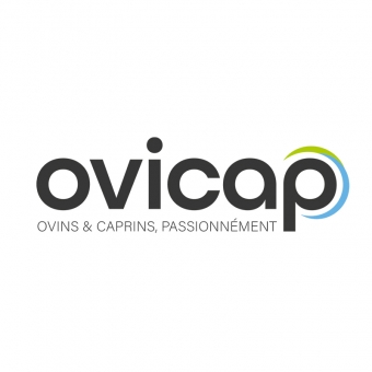 Ovicap