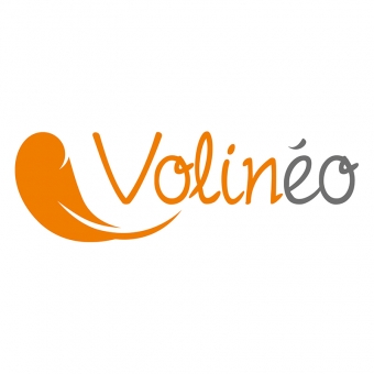 Volinéo