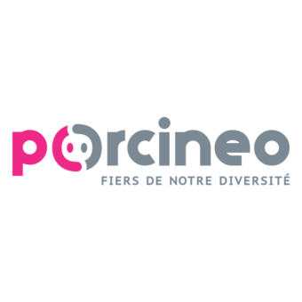 Porcineo