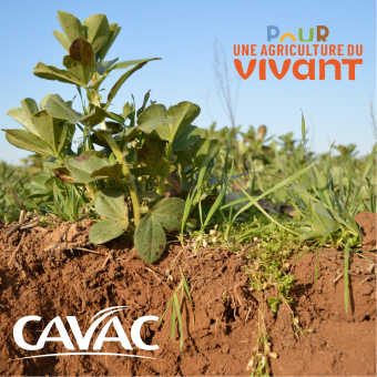Cavac s’engage pour une agriculture « régénérative »