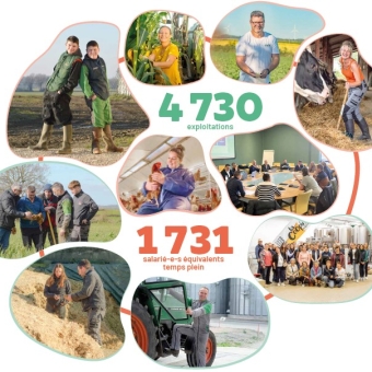 Chiffres clés 2024-2025